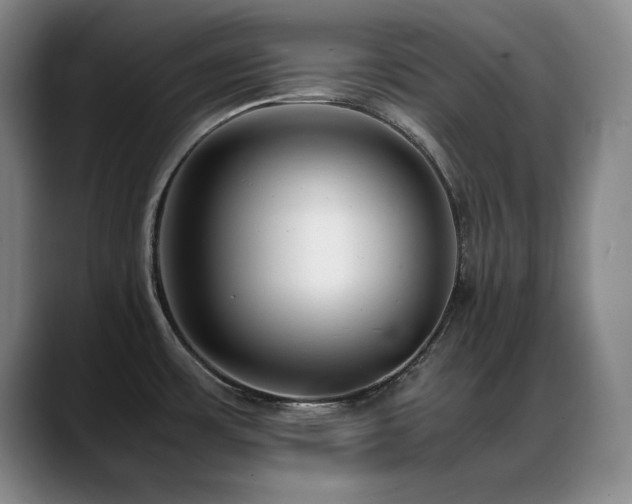 X0000089431483200706151259