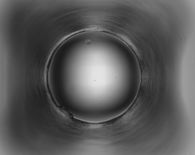 X0000089431484200706151259