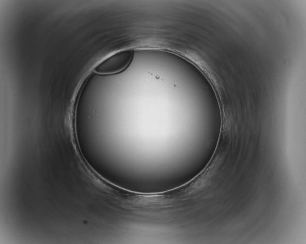 X0000089431486200706151259