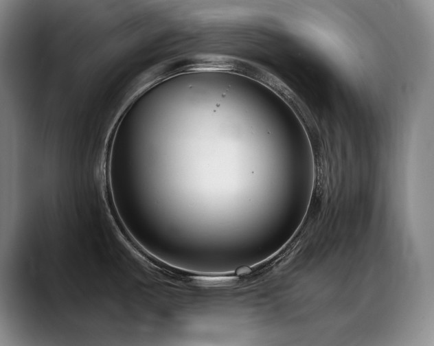 X0000089431487200706151259
