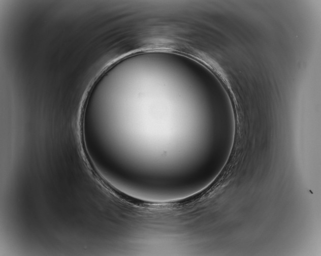 X0000089431488200706151259
