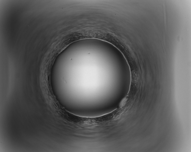 X0000089431489200706151259