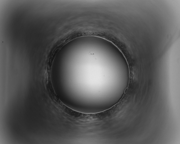 X0000089431493200706151259