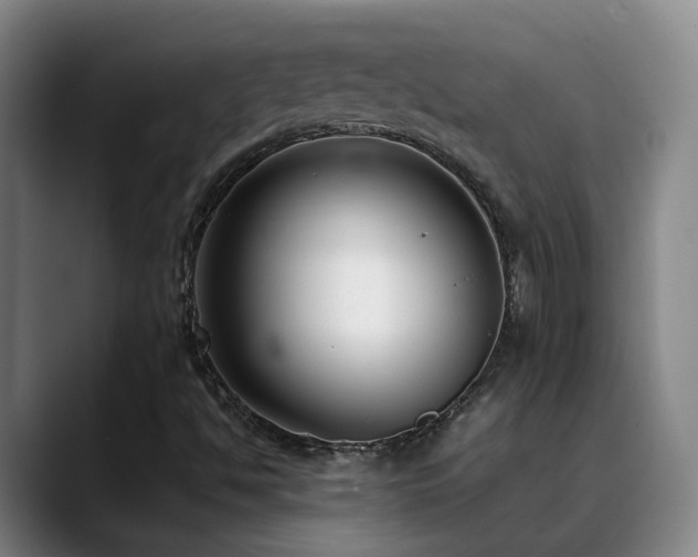 X0000089431494200706151259