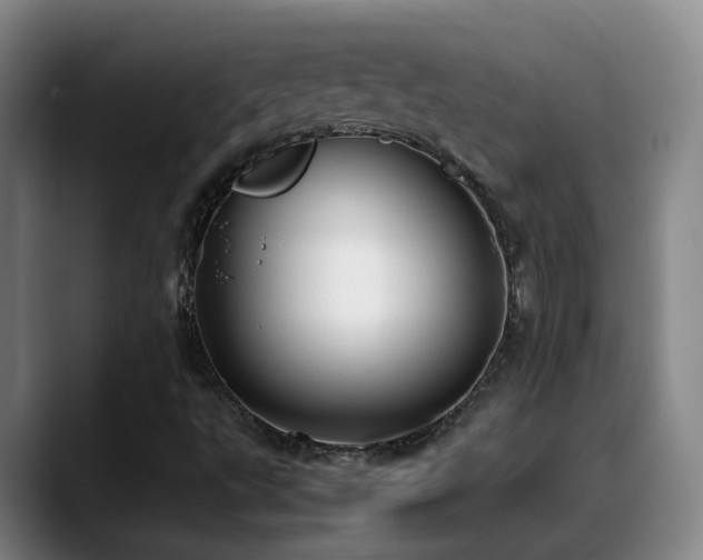 X0000089431495200706151259