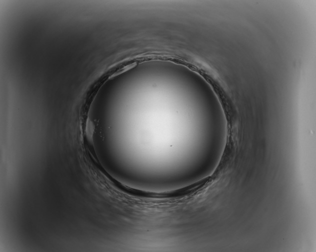 X0000089431496200706151259