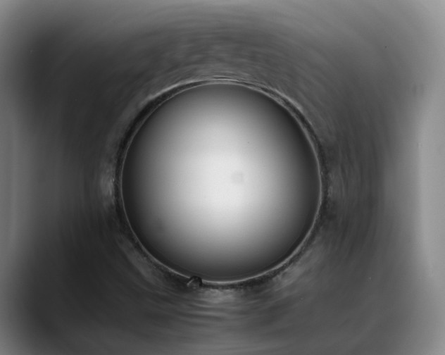 X0000089431499200706151259