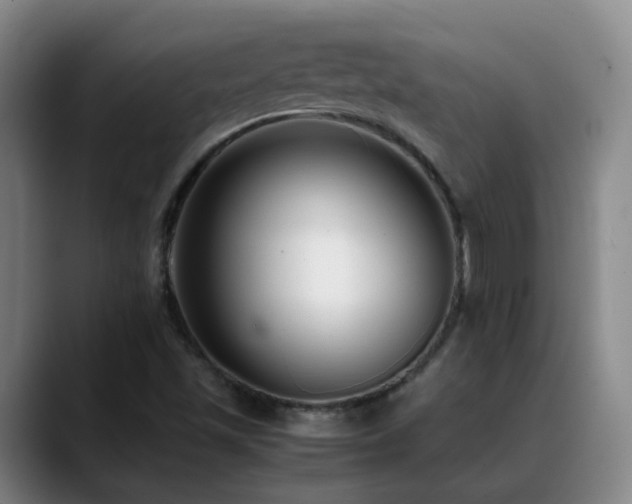 X0000089431501200706151259