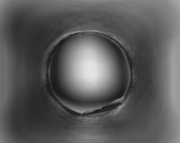 X0000089431502200706151259