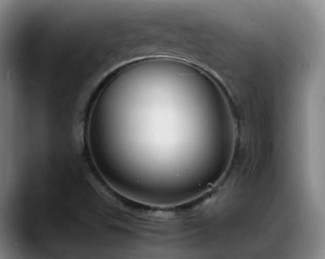 X0000089431503200706151259