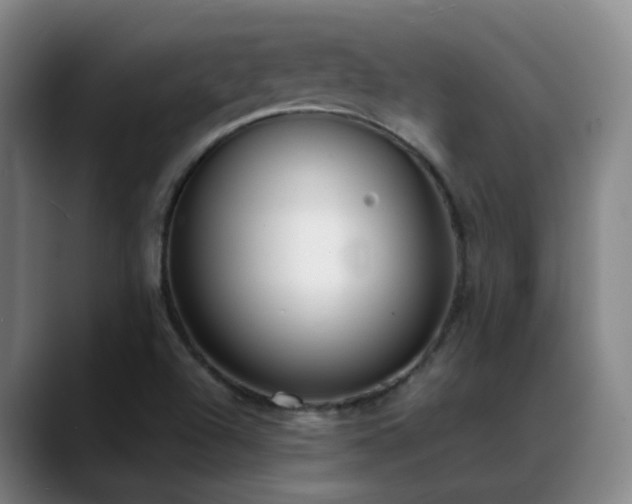 X0000089431504200706151259