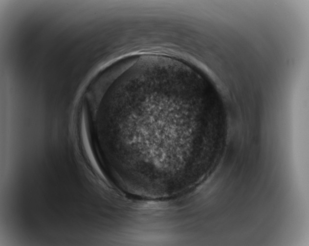 X0000089431506200706151259