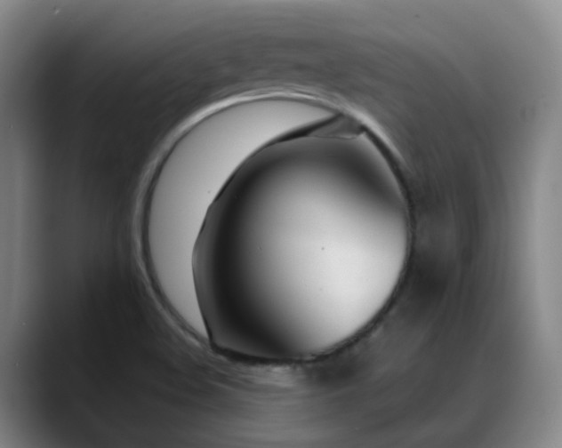 X0000089431508200706151259