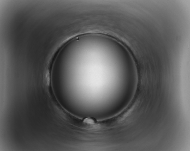 X0000089431509200706151259