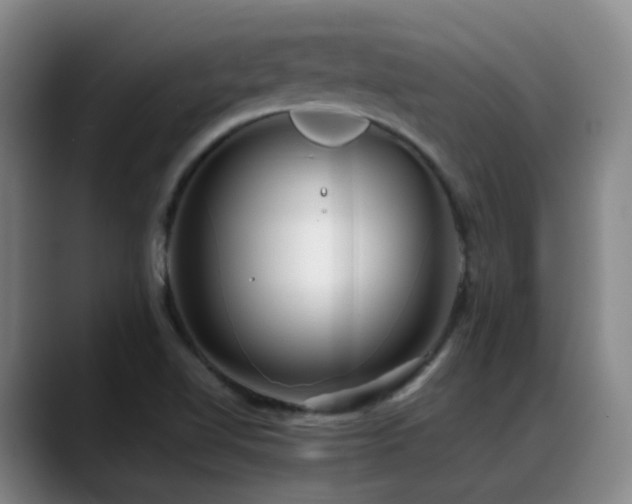 X0000089431510200706151259