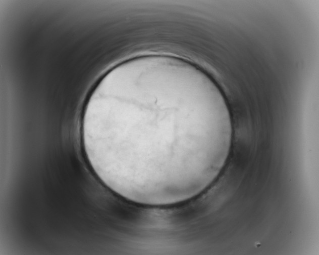X0000089431514200706151259