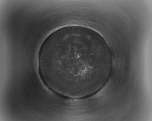 X0000089431515200706151259