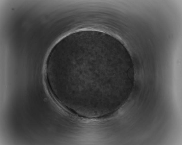 X0000089431522200706151259