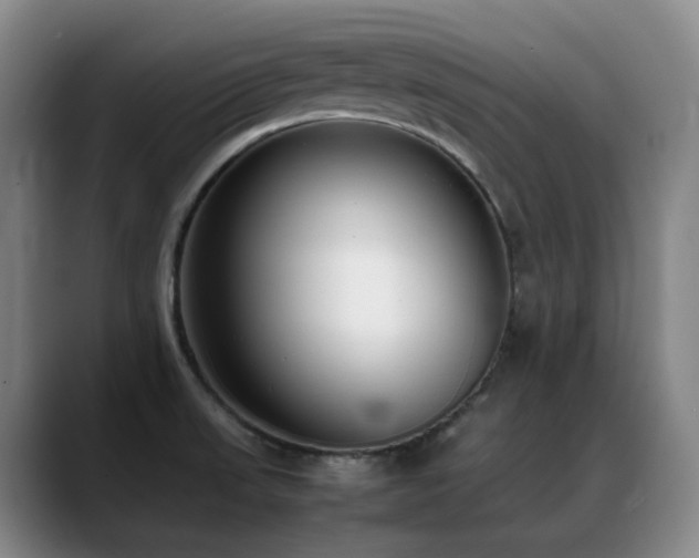 X0000089431523200706151259