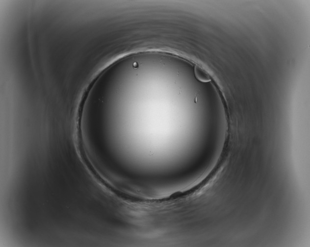 X0000089431525200706151259