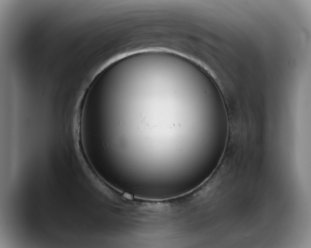 X0000089431526200706151259
