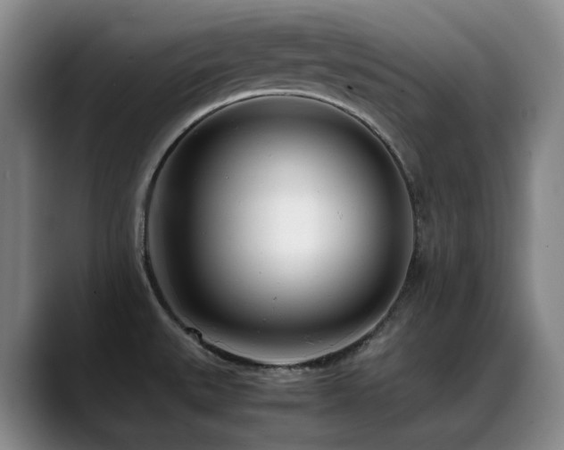 X0000089431527200706151259