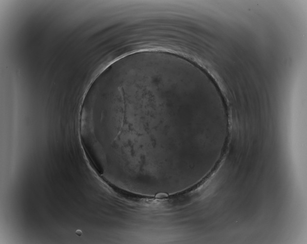 X0000089431529200706151259