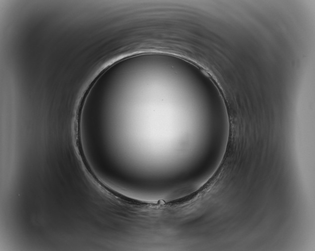 X0000089431531200706151259