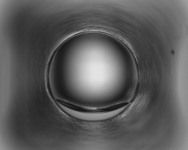 X0000089431533200706151259