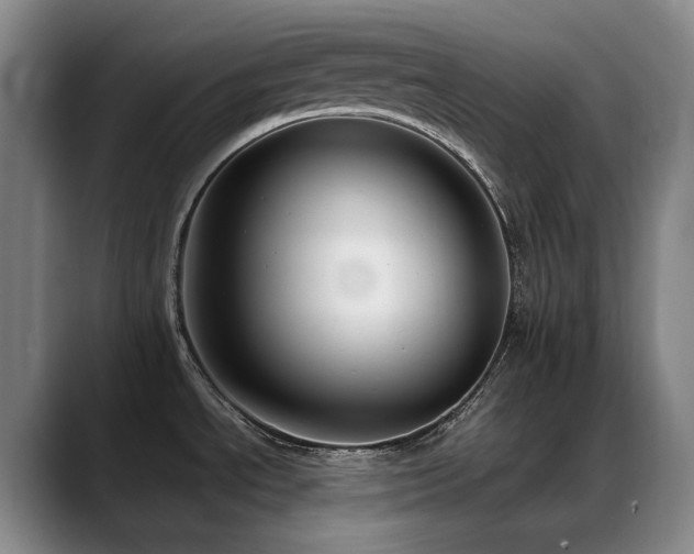 X0000089431534200706151259