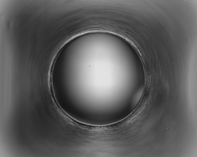 X0000089431535200706151259