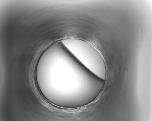 X0000089430001200706221219