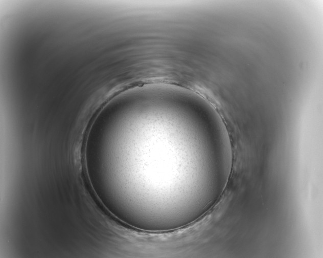 X0000089430002200706221219