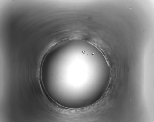 X0000089430003200706221219