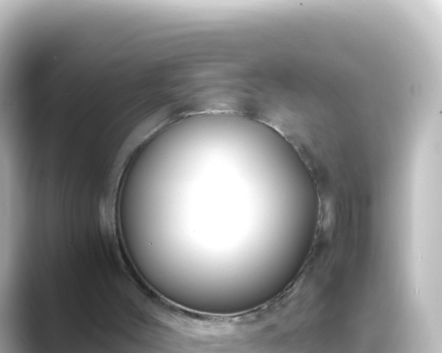 X0000089430004200706221219