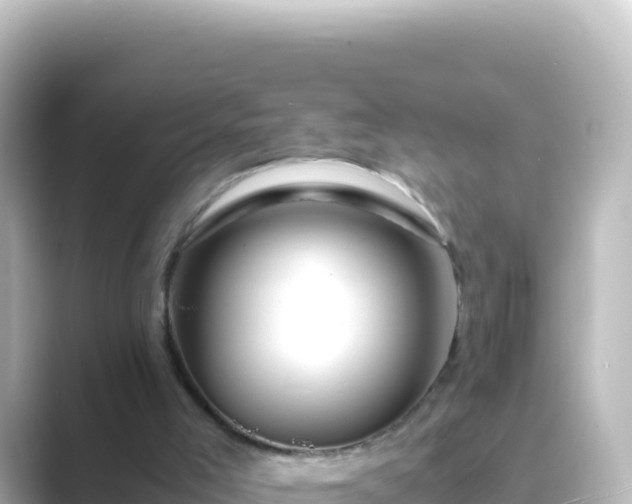 X0000089430005200706221219