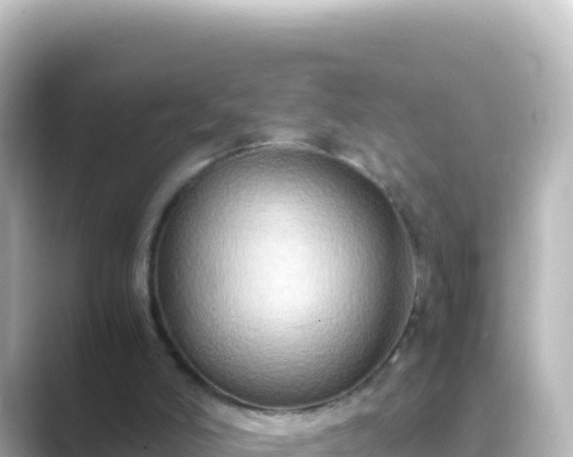 X0000089430006200706221219