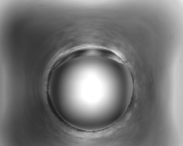 X0000089430007200706221219