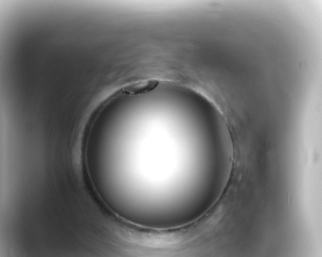 X0000089430008200706221219