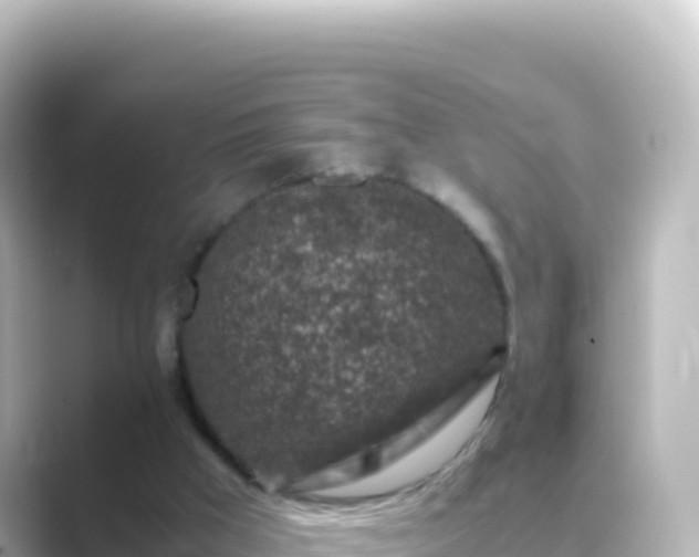 X0000089430009200706221219