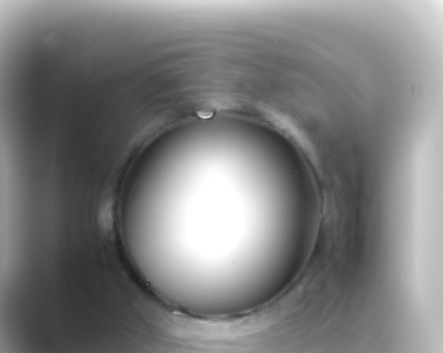 X0000089430010200706221219