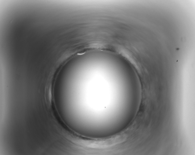 X0000089430011200706221219