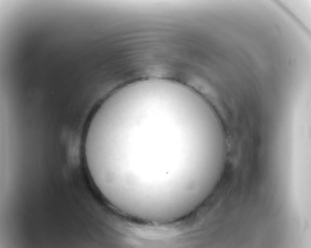 X0000089430012200706221219