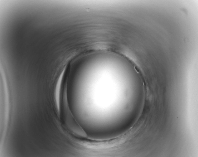 X0000089430013200706221219