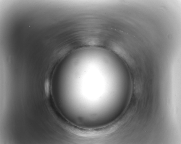 X0000089430014200706221219