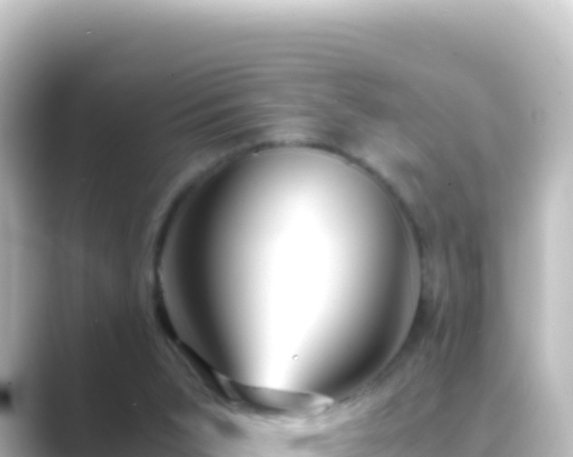 X0000089430015200706221219