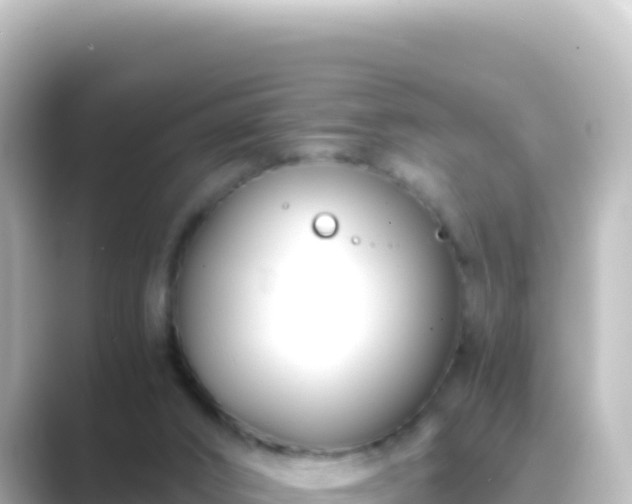 X0000089430016200706221219