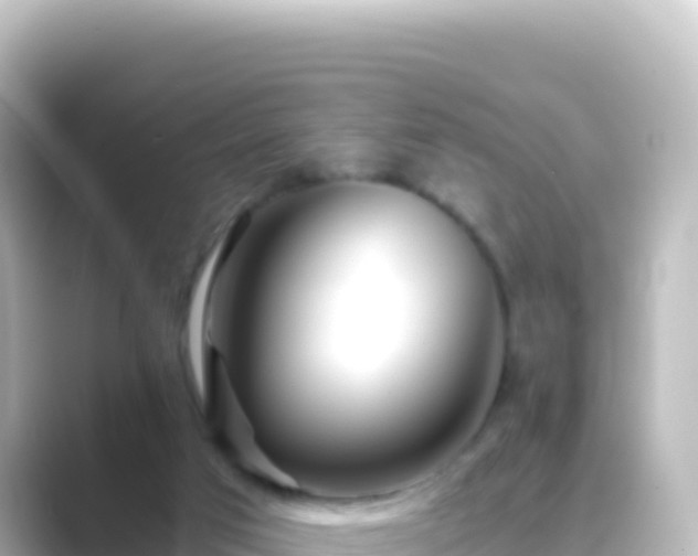 X0000089430017200706221219