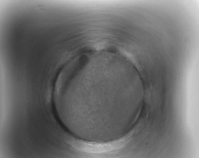 X0000089430018200706221219