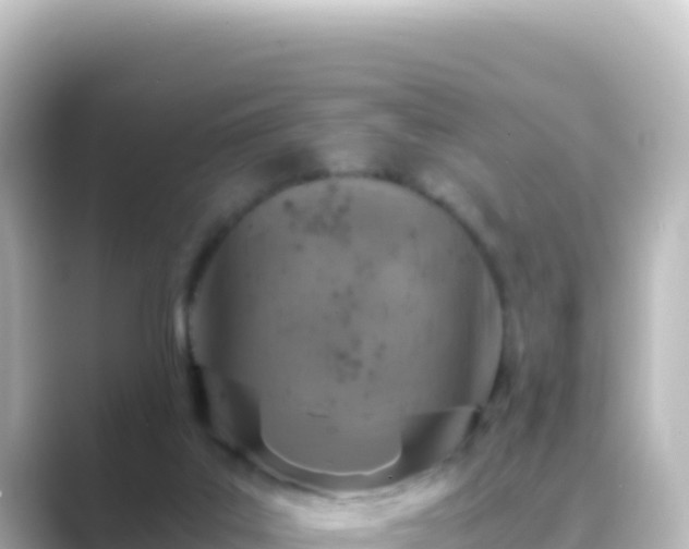 X0000089430019200706221219